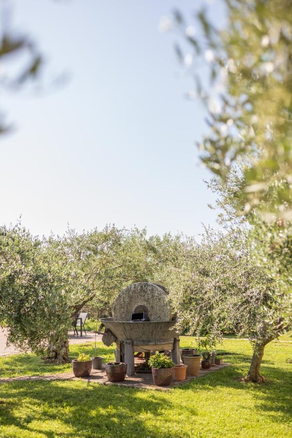 Hotel Maslina Seget  Εξωτερικό φωτογραφία
